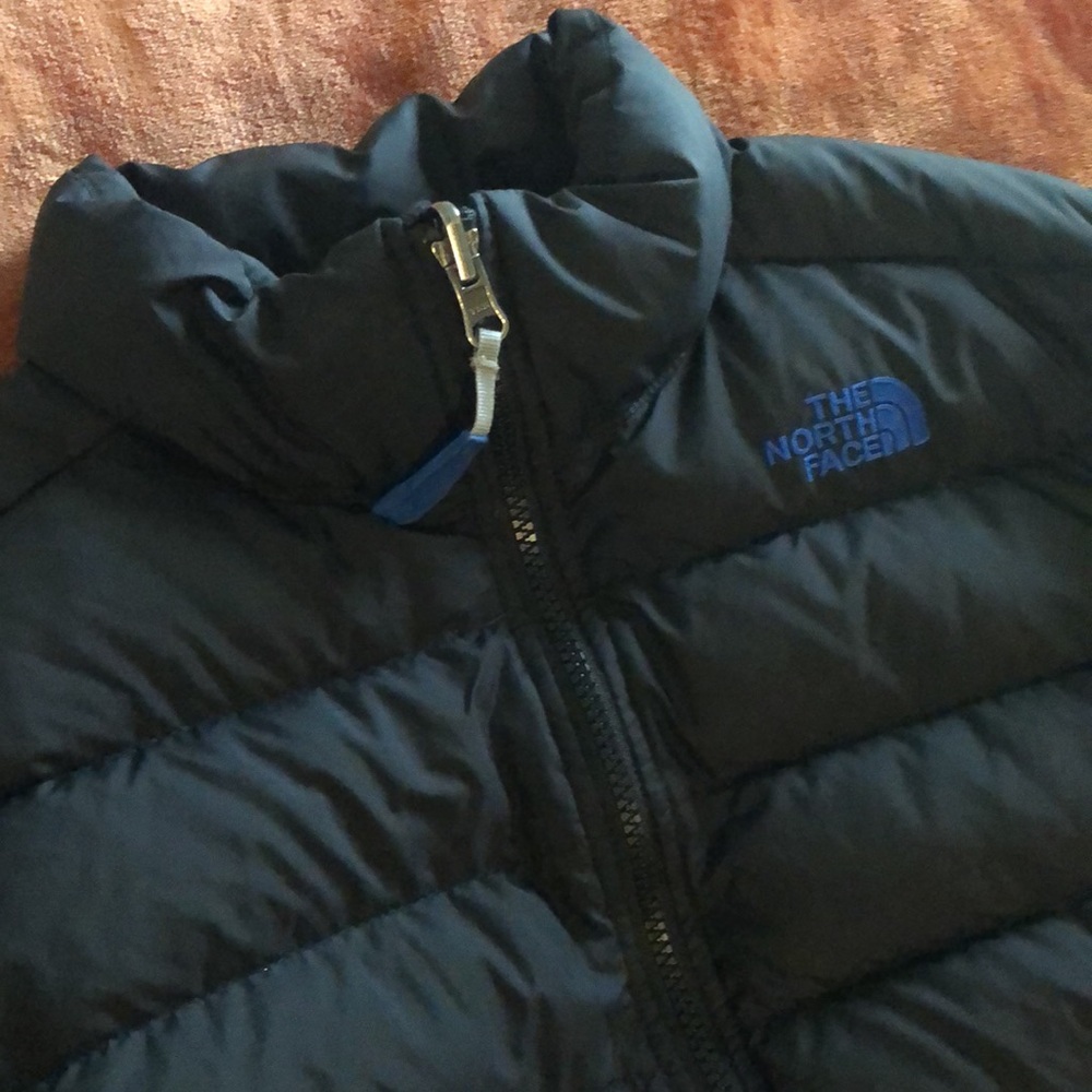 Jacket - Picture 2 of 7